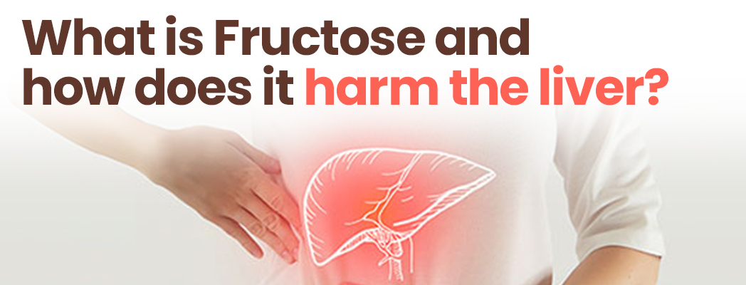 What is Fructose and how does it harm the liver?