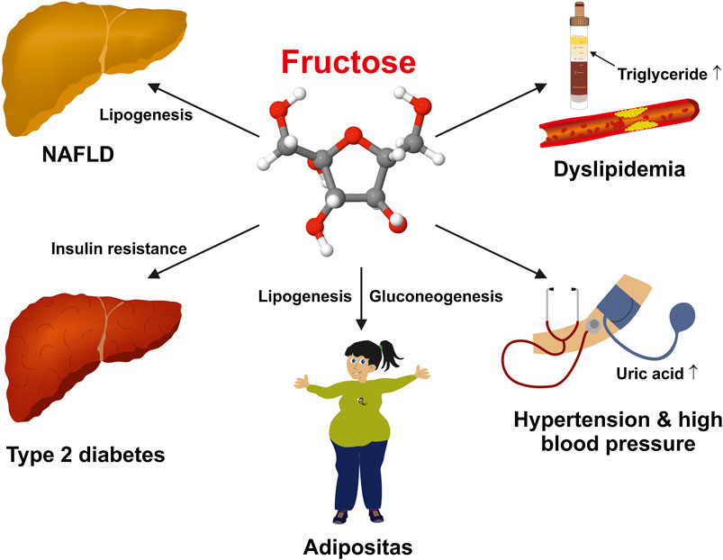 harmful effects of fructose on the body