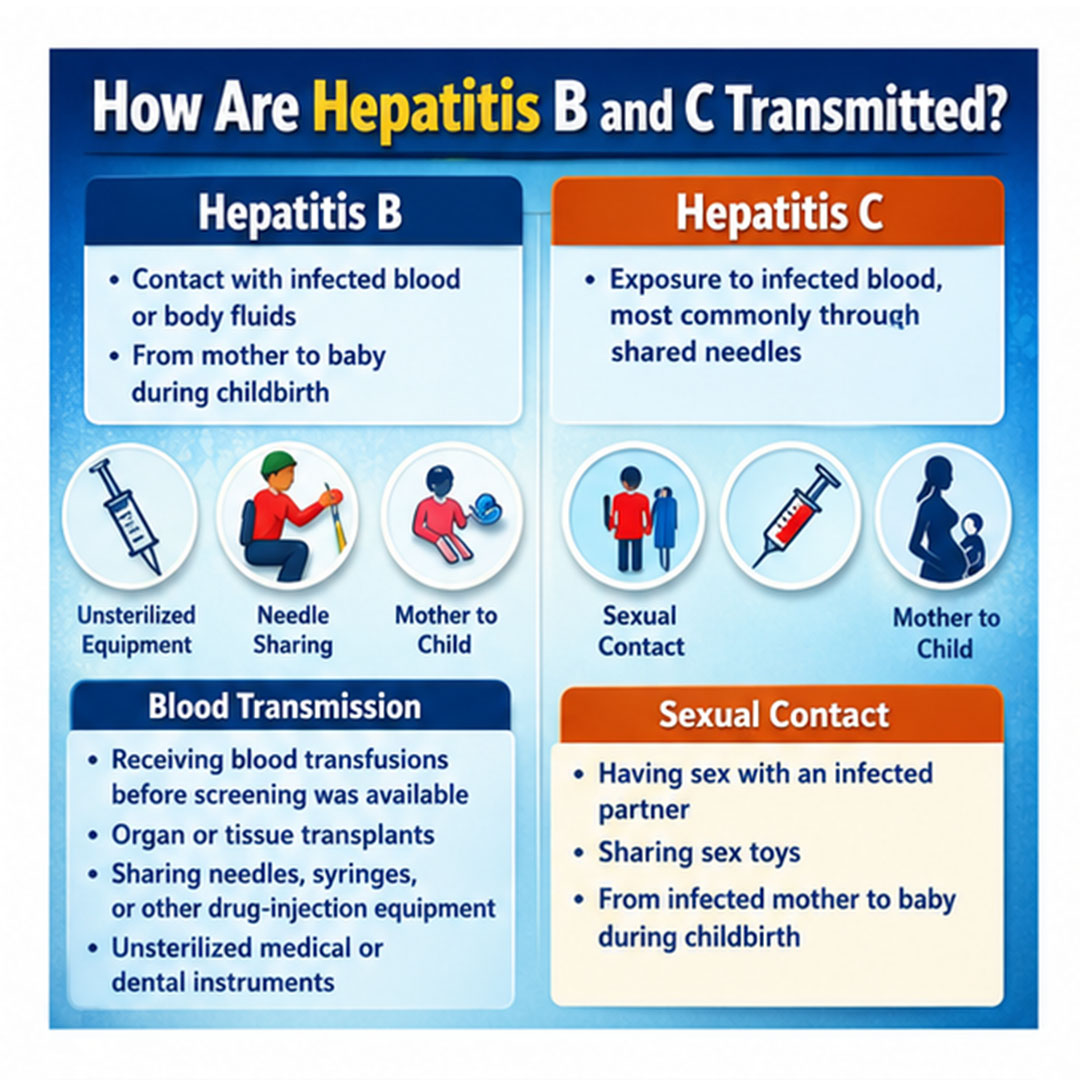 How Are Hepatitis B and C Transmitted
